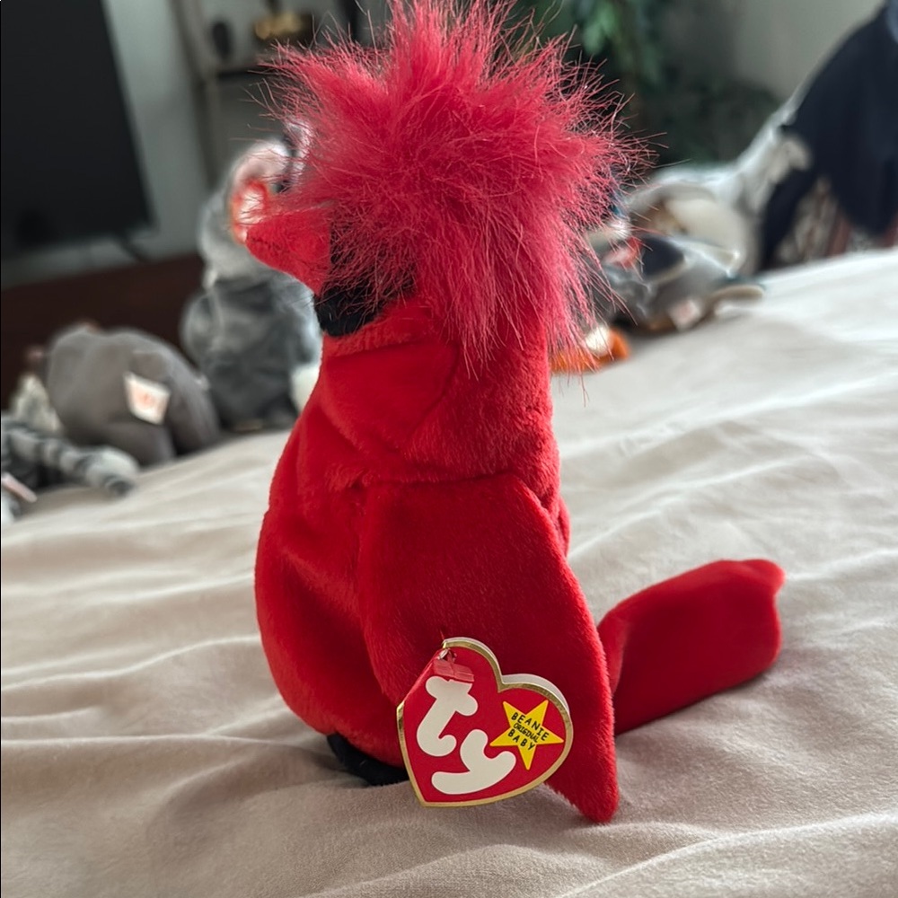 Ty Beanie Baby Mac the Cardinal errors